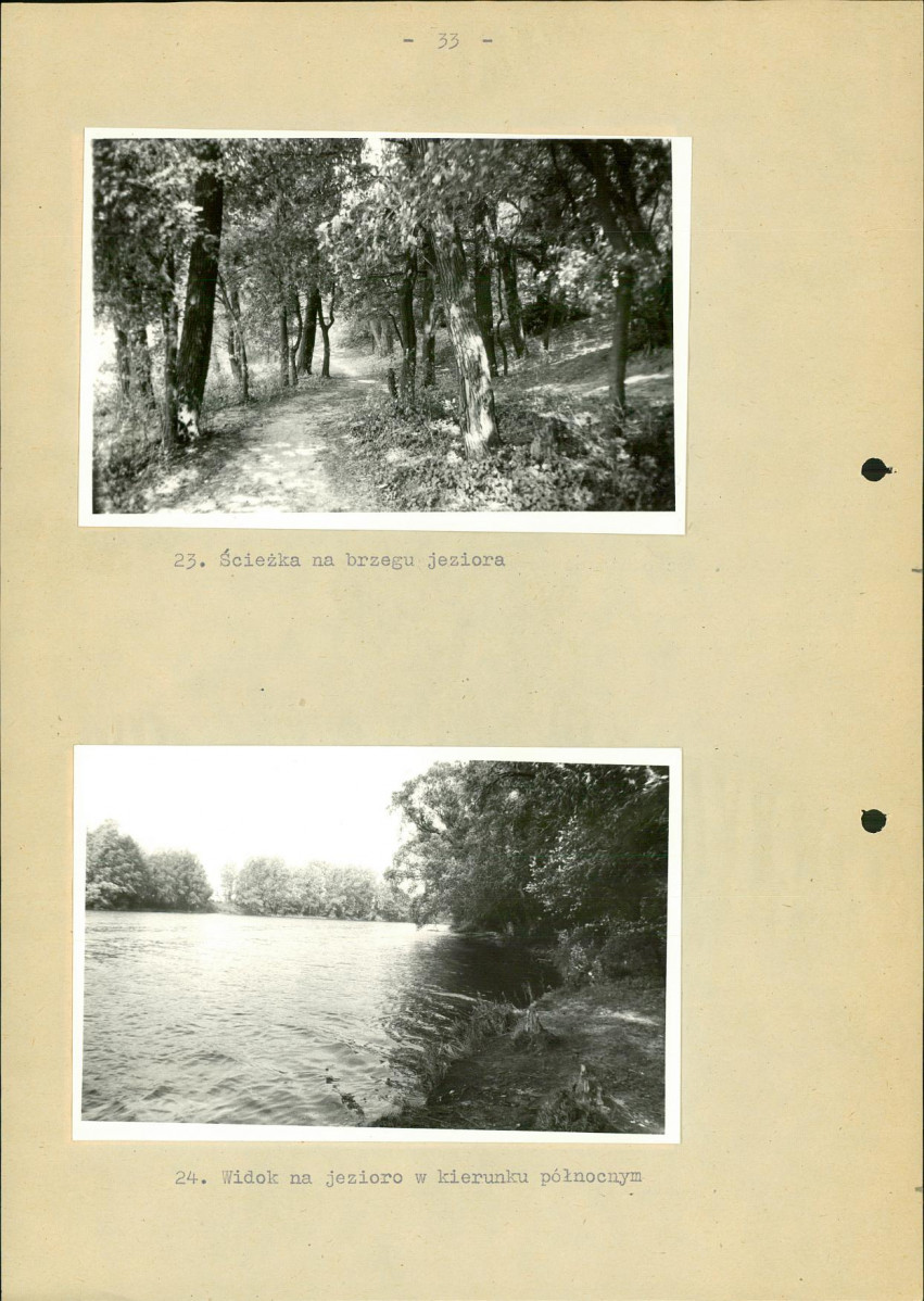 Ewidencja parkowa, skan nr 40
