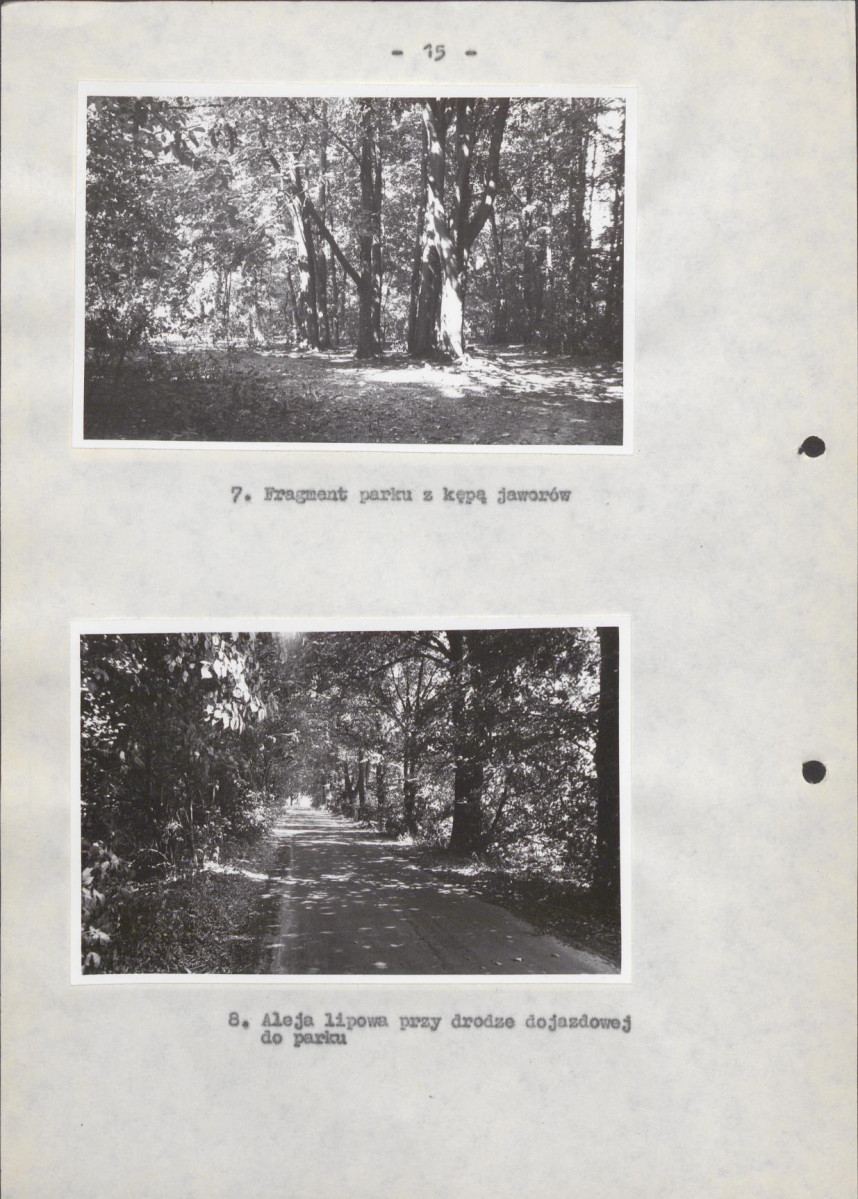 Ewidencja parkowa, skan nr 21
