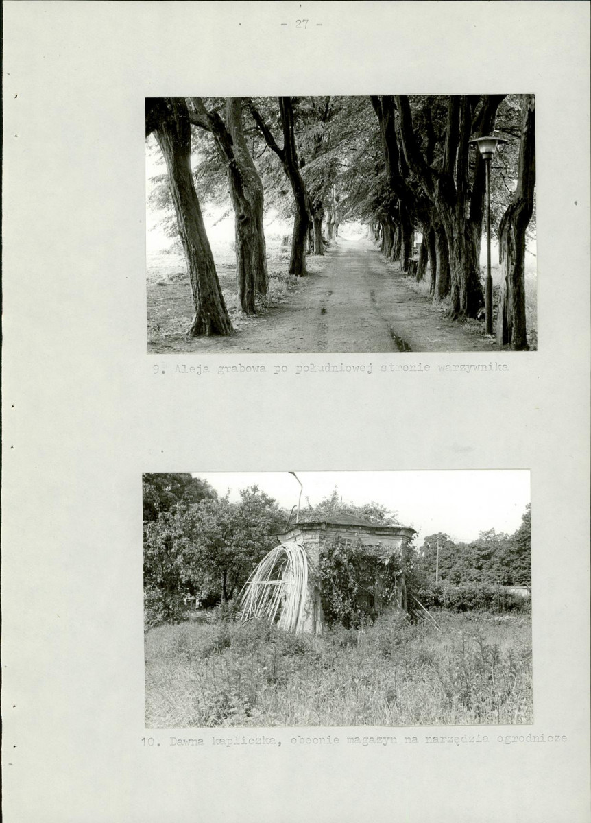 EP - Ewidencja parkowa, skan nr 33