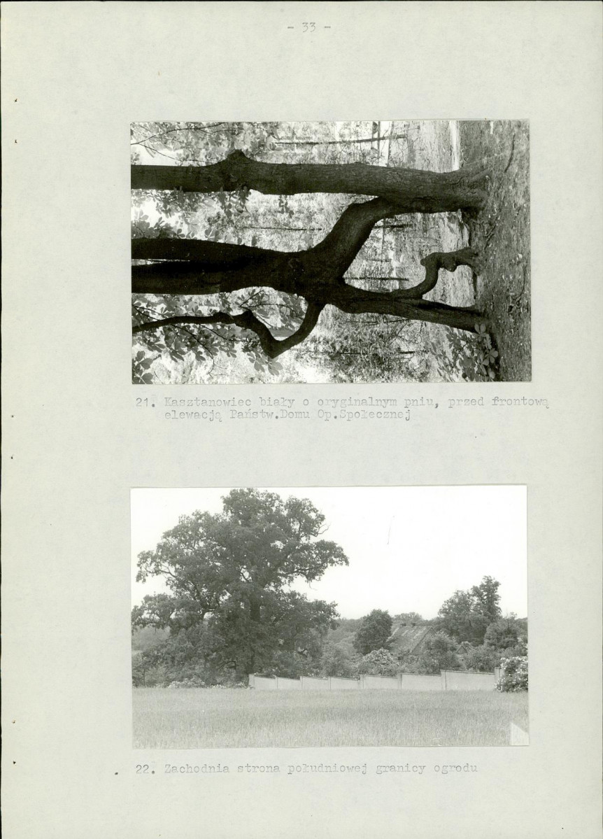 EP - Ewidencja parkowa, skan nr 39