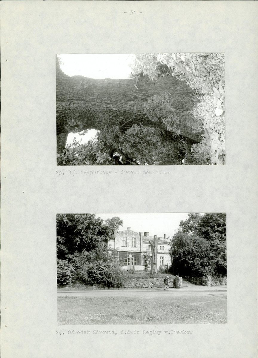 EP - Ewidencja parkowa, skan nr 40