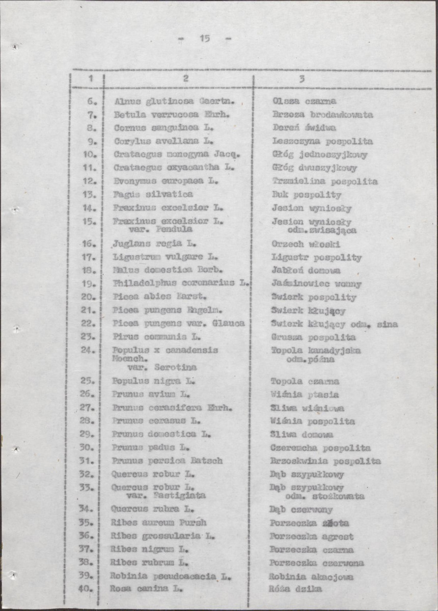 EP - Ewidencja parkowa, skan nr 20