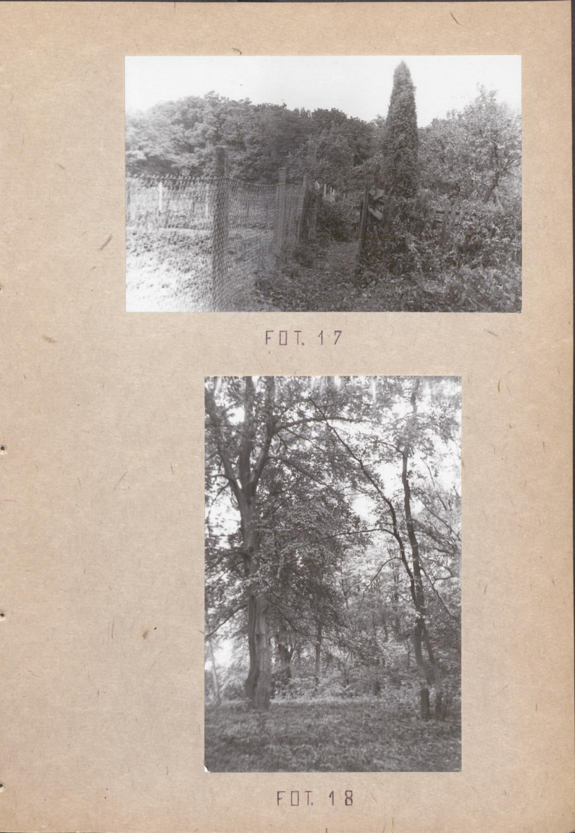 EP - Ewidencja parkowa, skan nr 49
