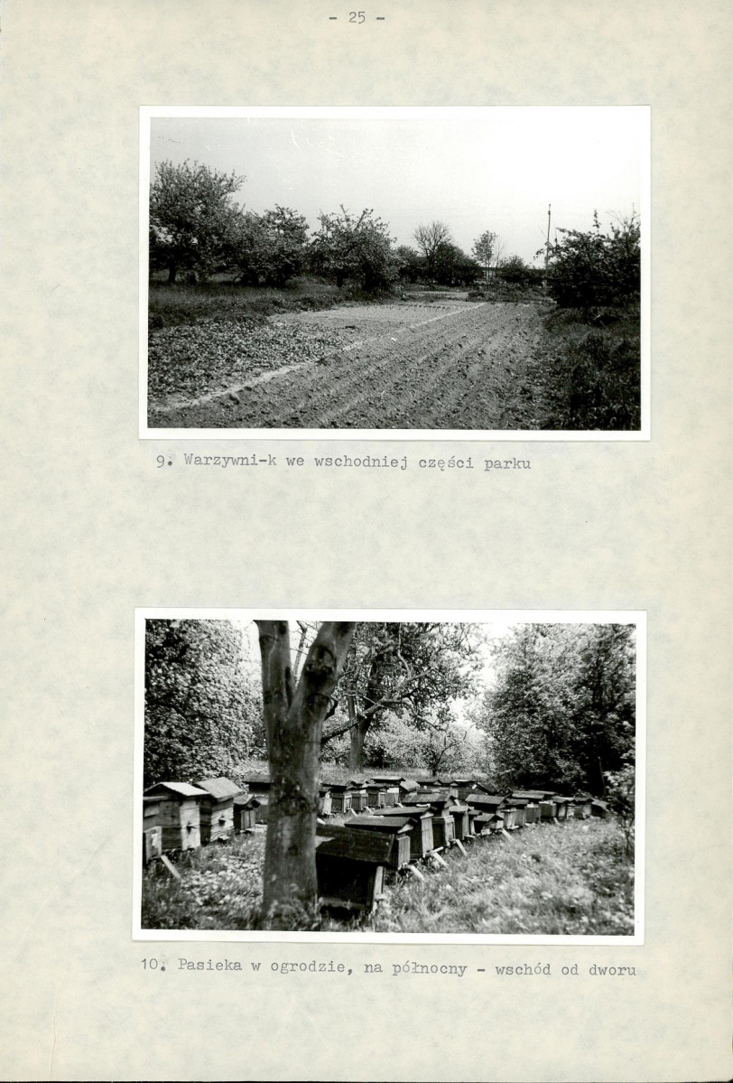 Ewidencja parkowa, skan nr 31