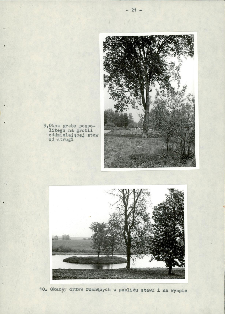 EP - Ewidencja parkowa, skan nr 29