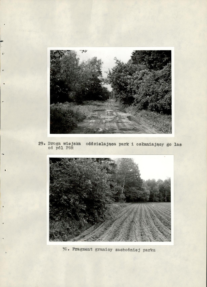 EP - Ewidencja parkowa, skan nr 53