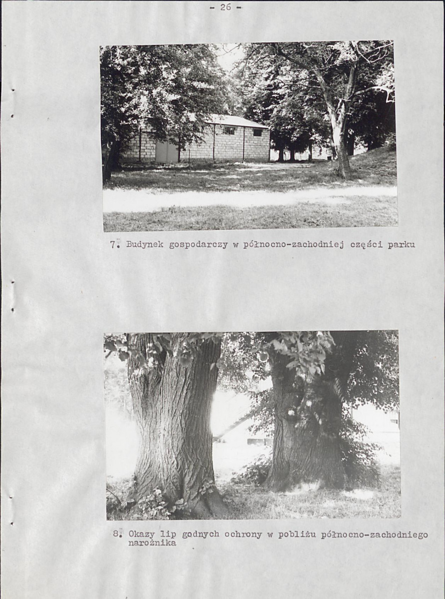 Ewidencja parkowa, skan nr 32