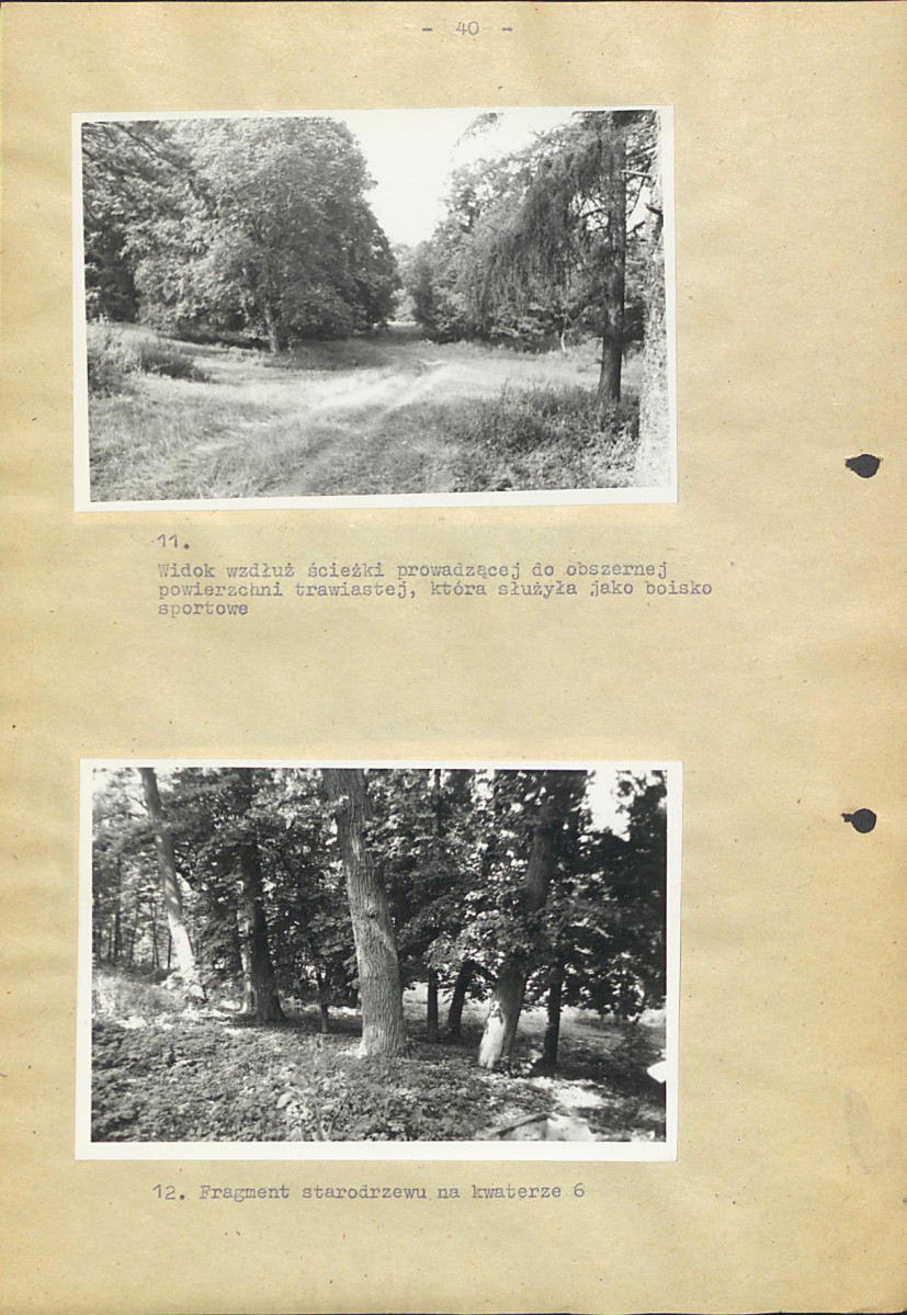 EP - Ewidencja parkowa, skan nr 46