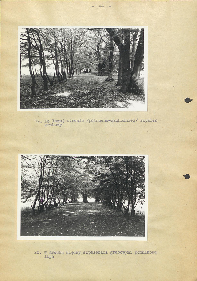 EP - Ewidencja parkowa, skan nr 50
