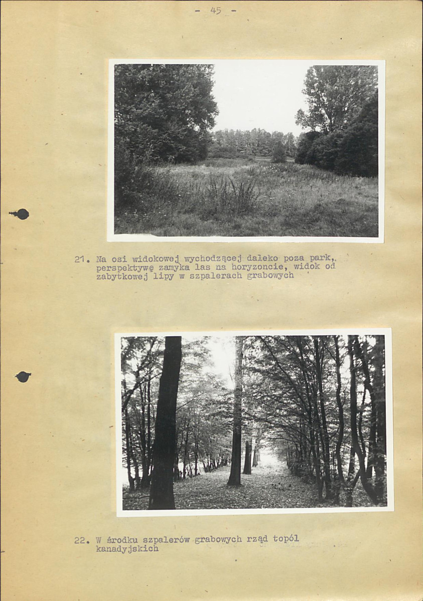 EP - Ewidencja parkowa, skan nr 51