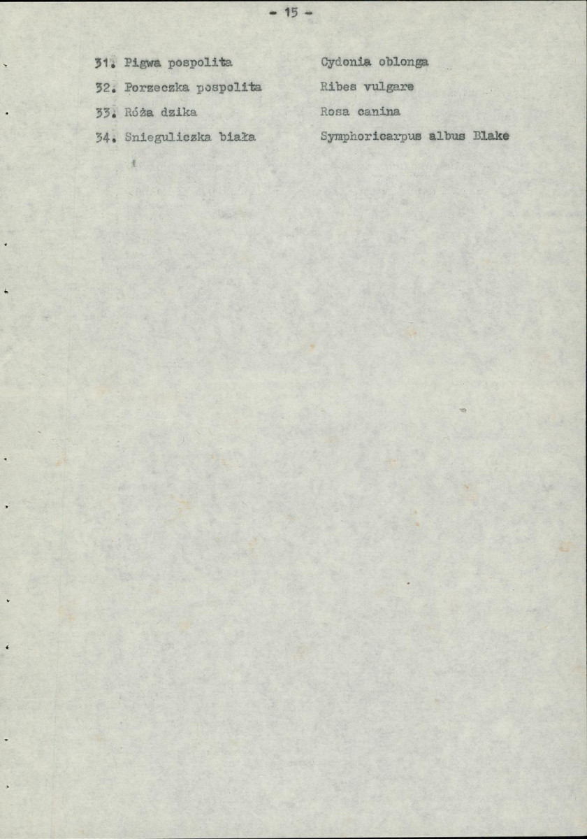 Ewidencja parkowa, skan nr 23