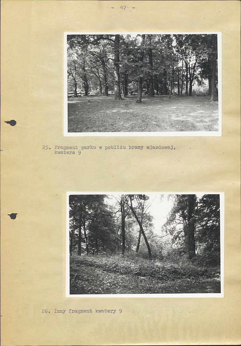 EP - Ewidencja parkowa, skan nr 53