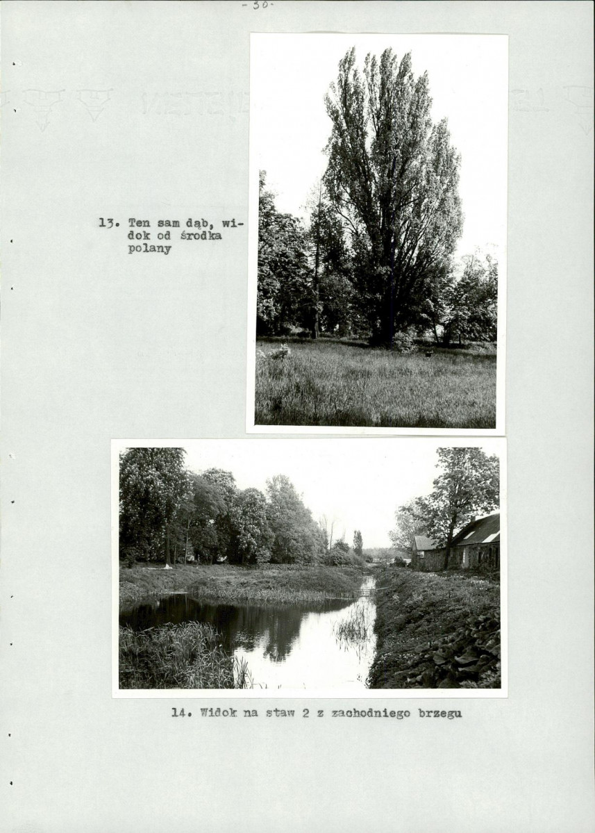 Ewidencja parkowa, skan nr 38
