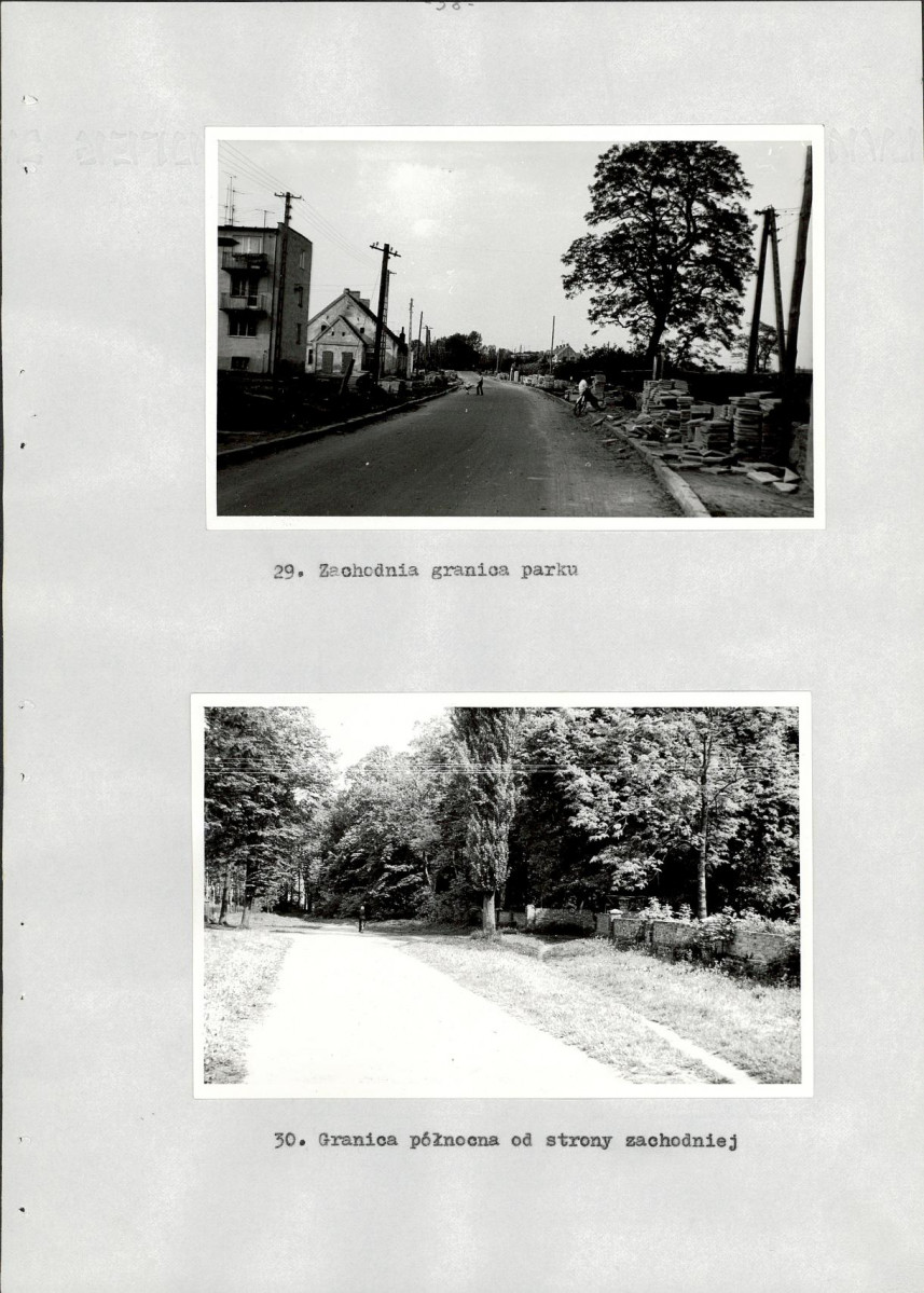 Ewidencja parkowa, skan nr 46