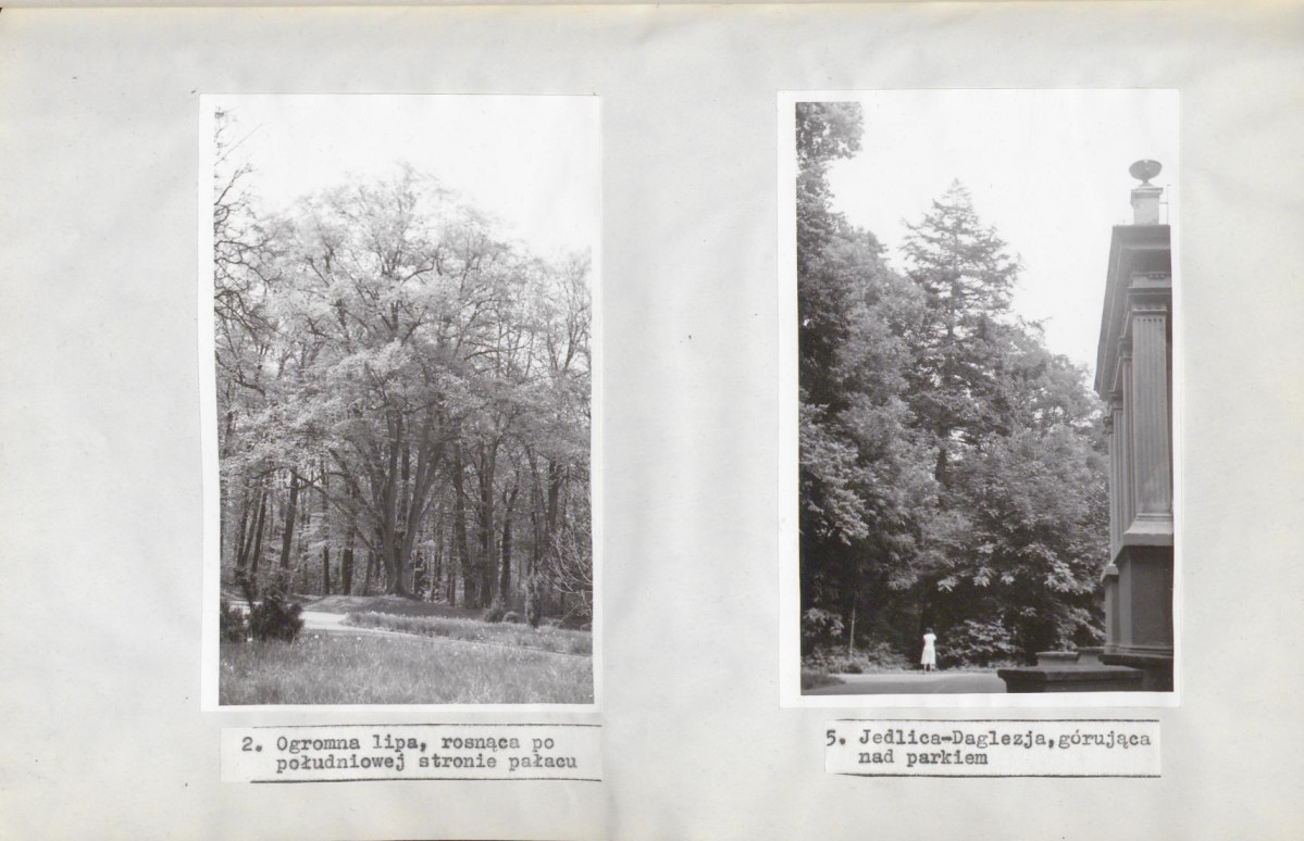 Ewidencja parkowa, skan nr 31