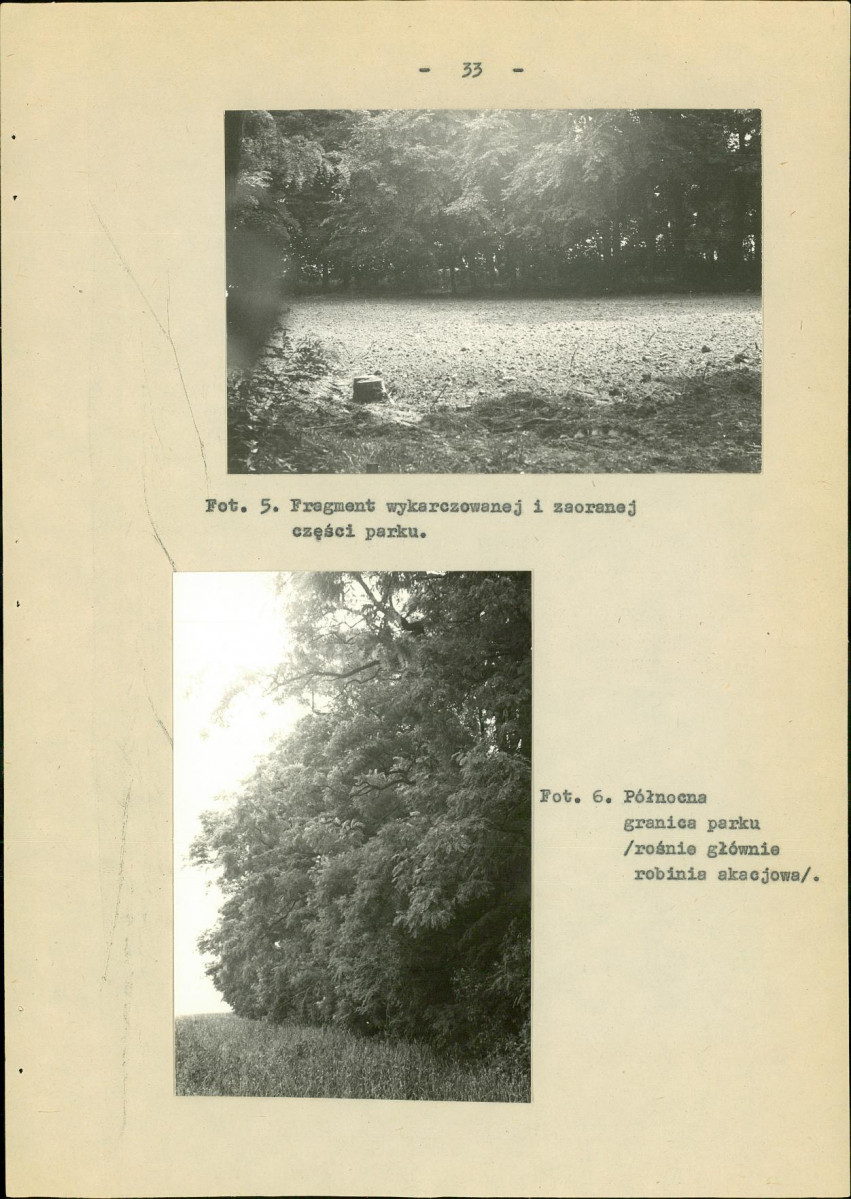EP - Ewidencja parkowa, skan nr 41