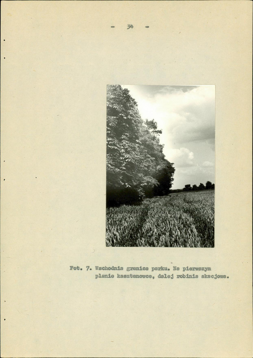 EP - Ewidencja parkowa, skan nr 42