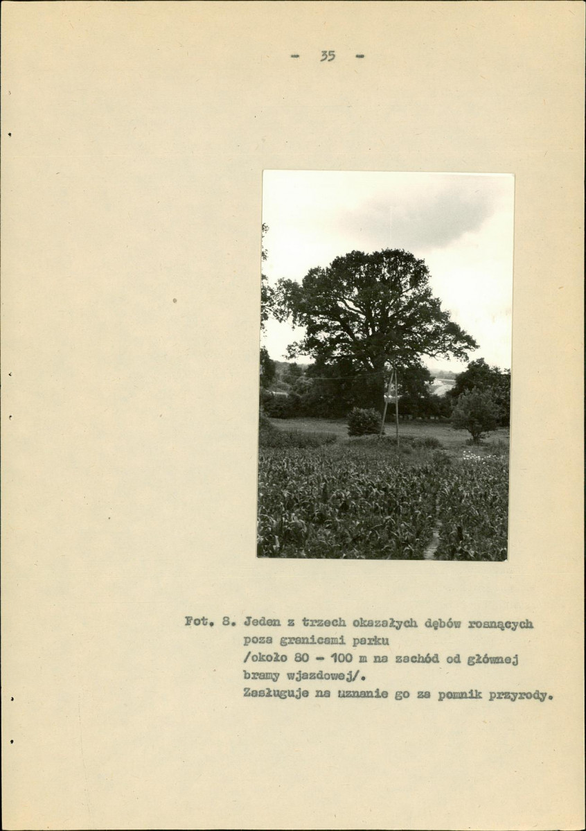 EP - Ewidencja parkowa, skan nr 43