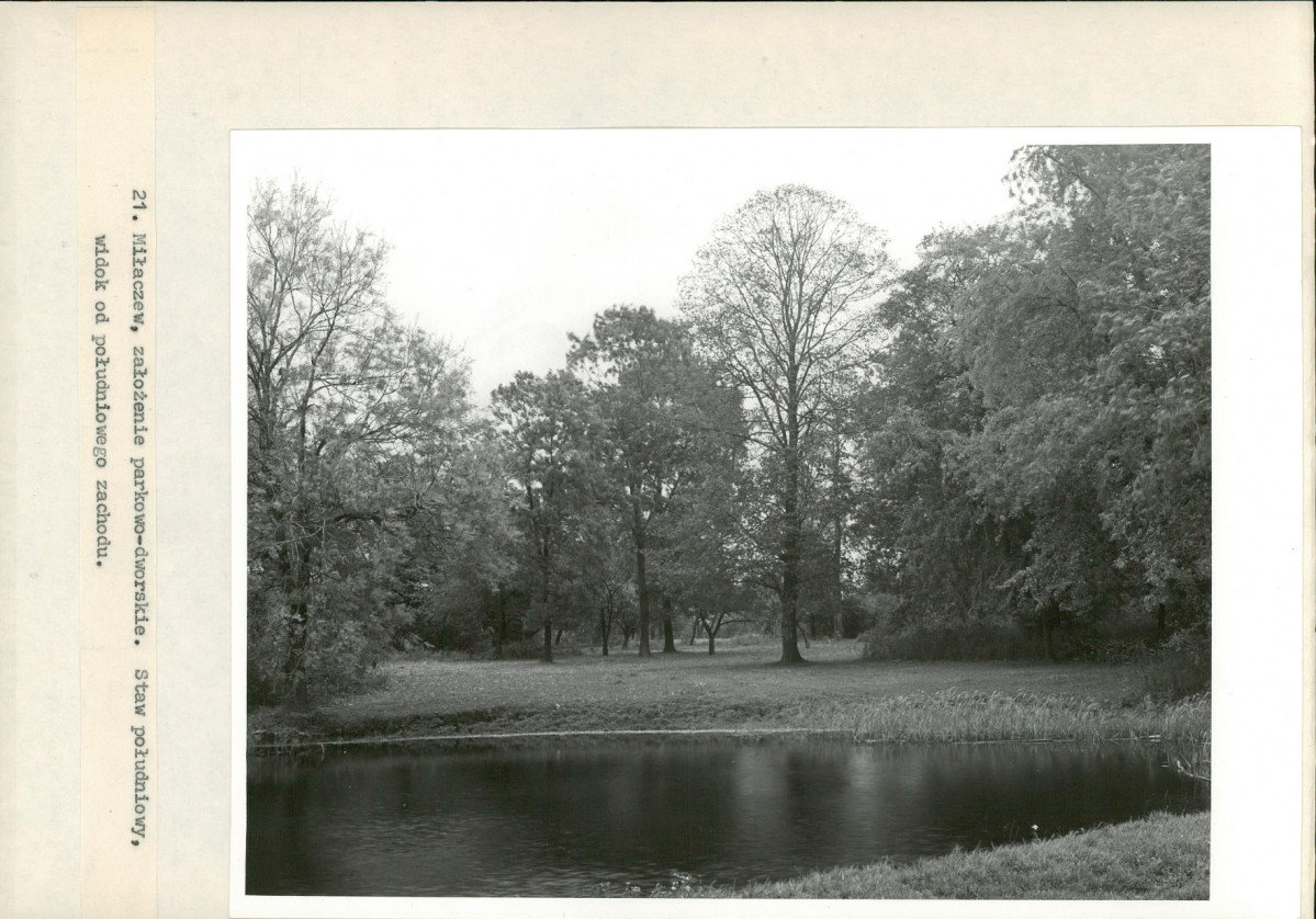 Ewidencja parkowa, skan nr 39