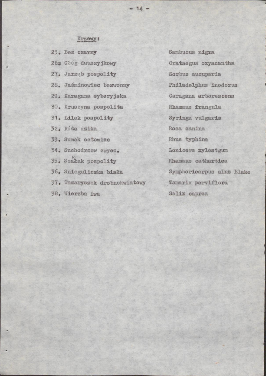 EP - Ewidencja parkowa, skan nr 21