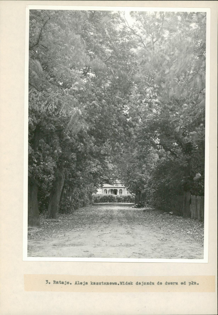 Ewidencja parkowa, skan nr 22