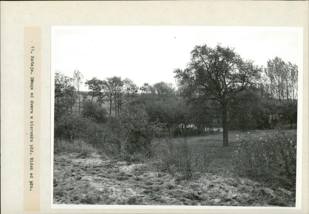 Ewidencja parkowa, skan nr 30