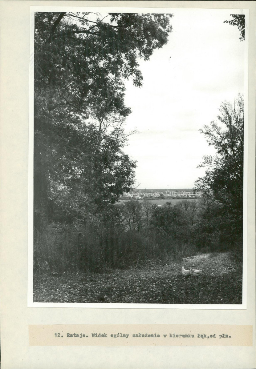 Ewidencja parkowa, skan nr 31