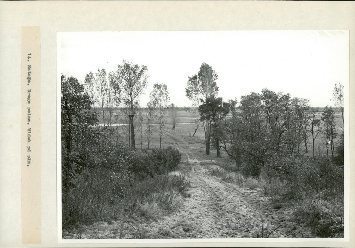 Ewidencja parkowa, skan nr 33