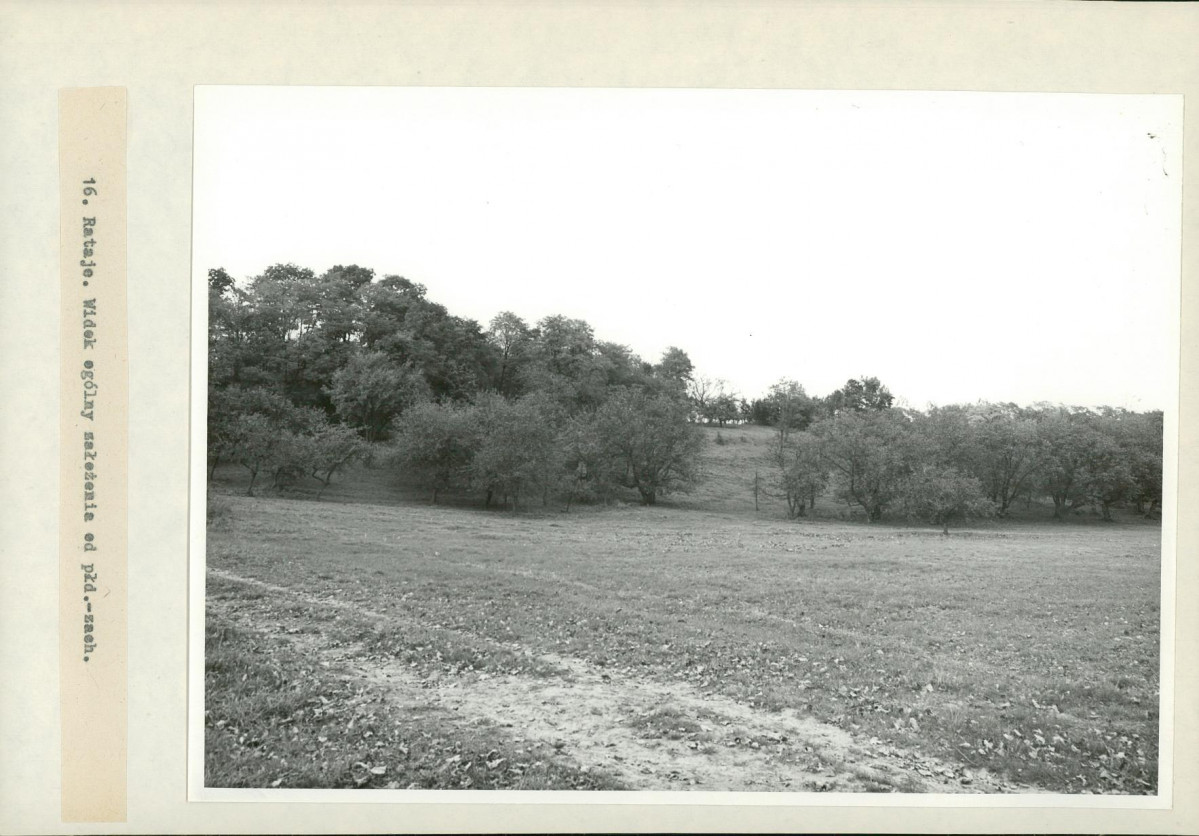 Ewidencja parkowa, skan nr 35