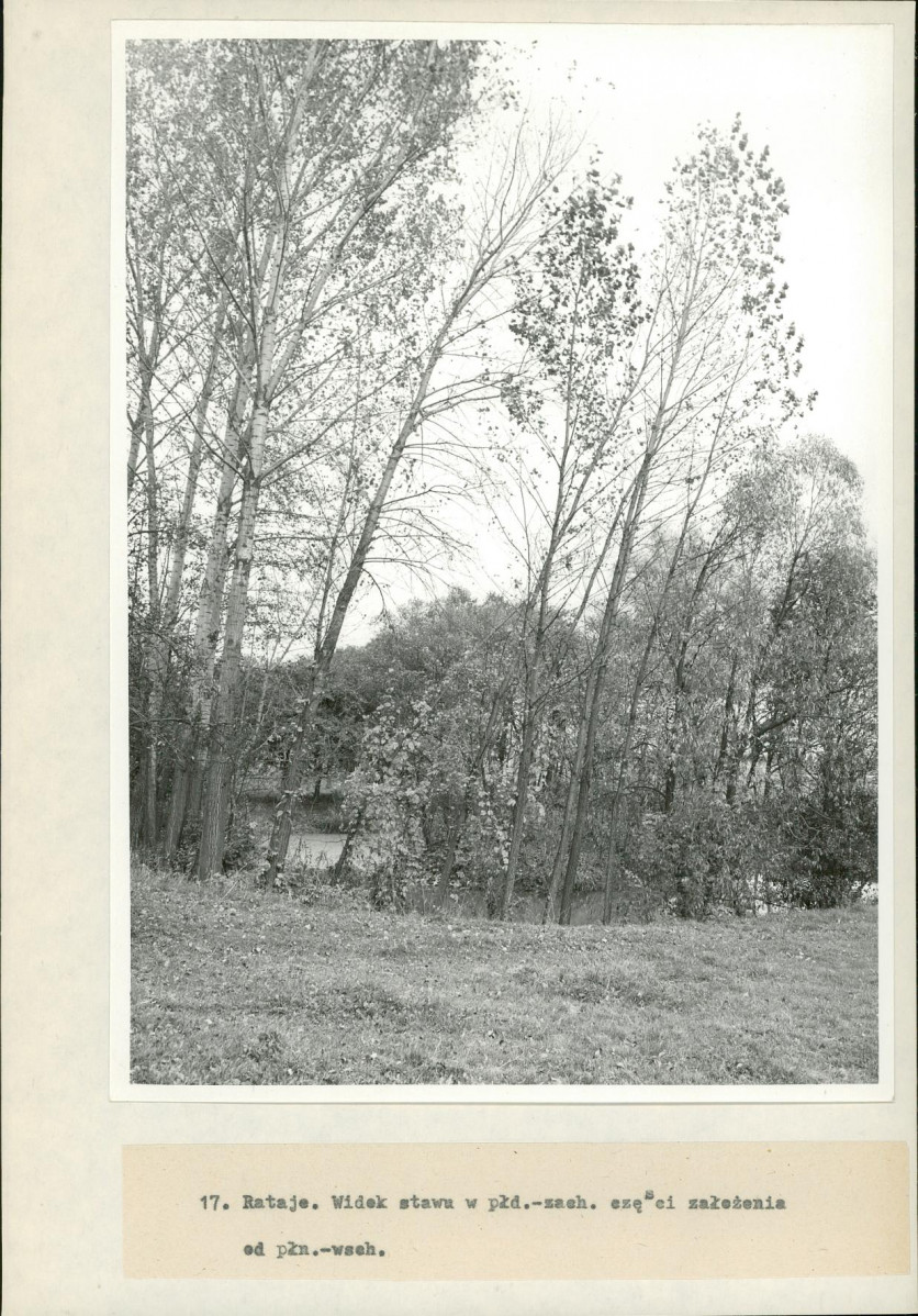 Ewidencja parkowa, skan nr 36