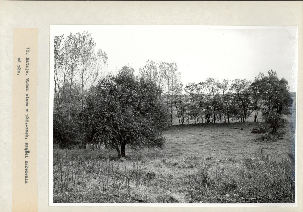 Ewidencja parkowa, skan nr 37