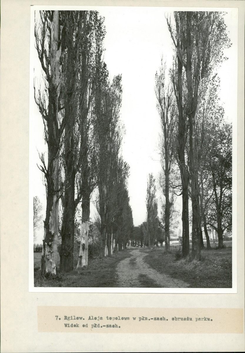 Ewidencja parkowa, skan nr 26