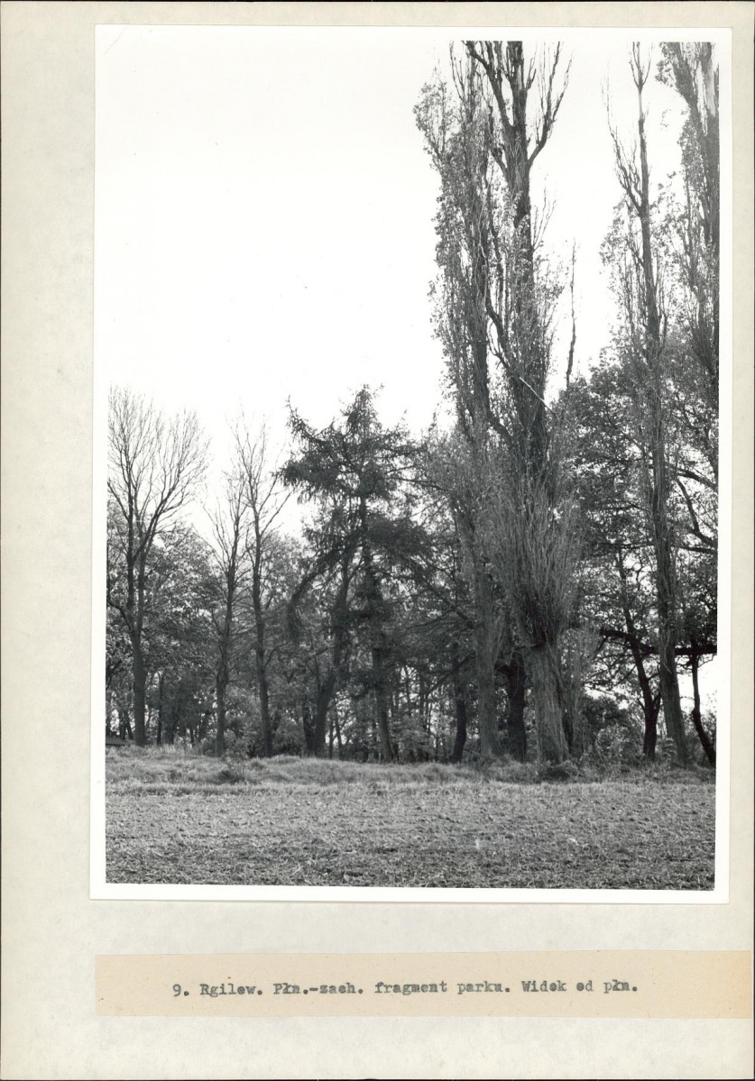 Ewidencja parkowa, skan nr 28