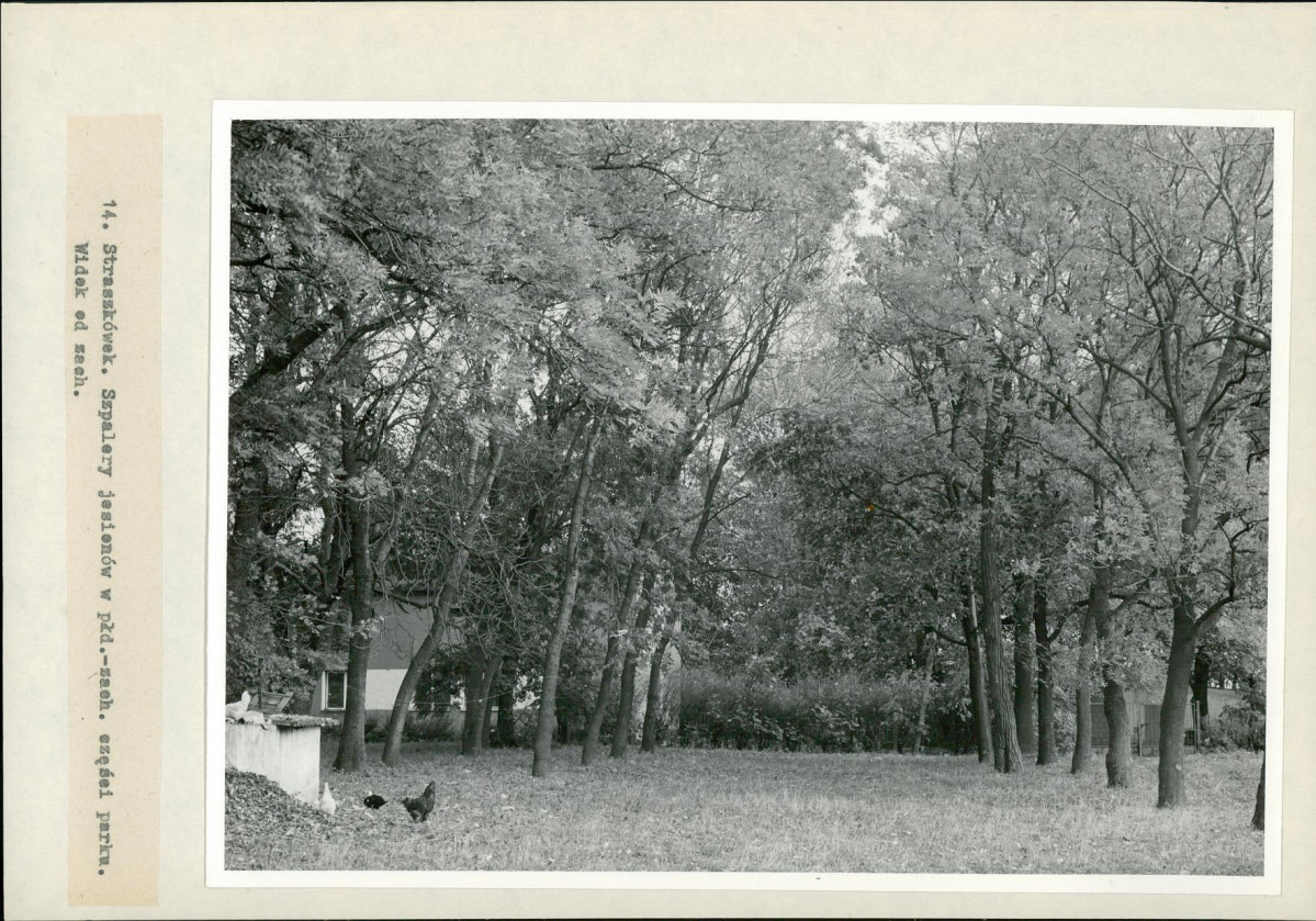 Ewidencja parkowa, skan nr 34