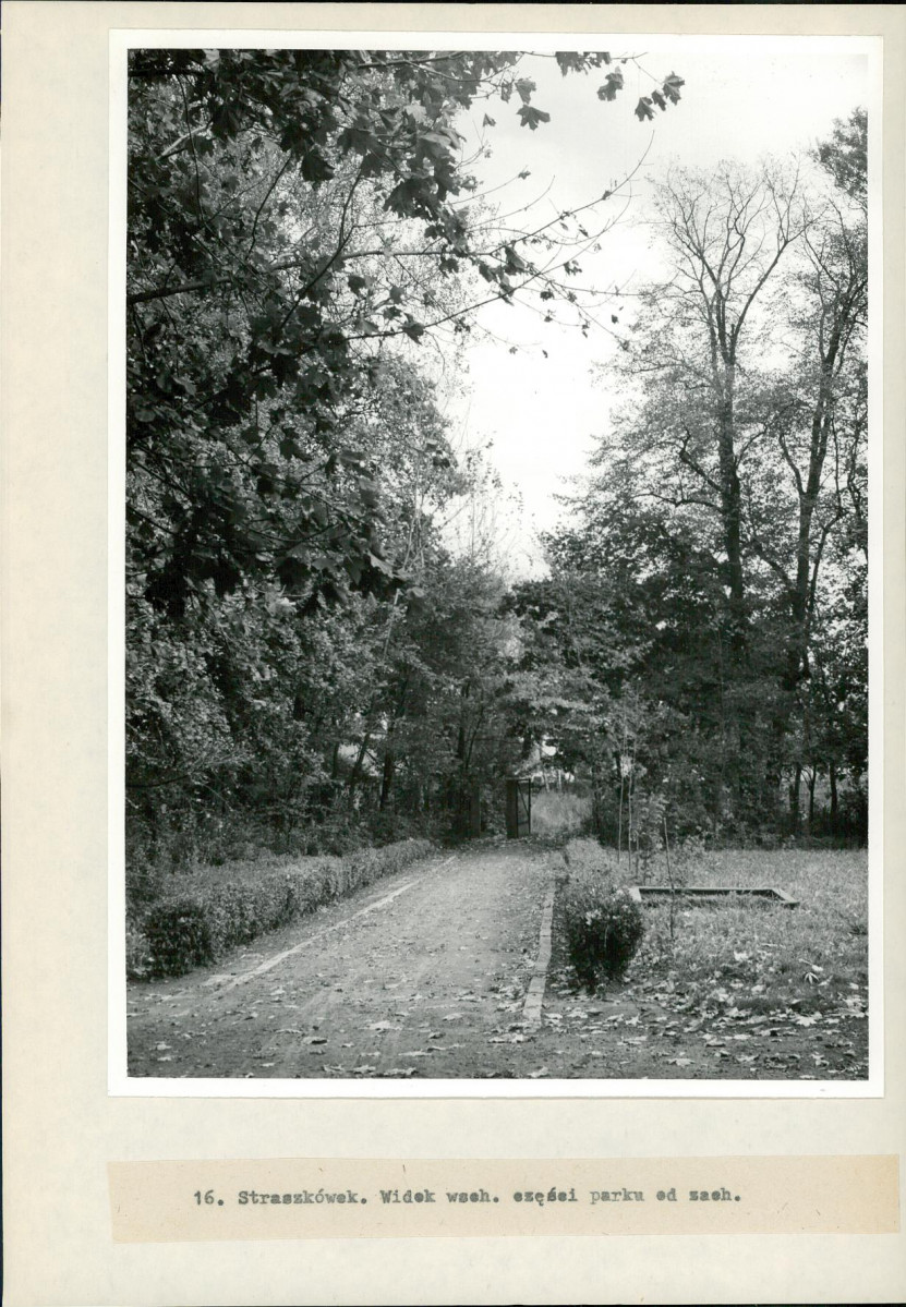 Ewidencja parkowa, skan nr 36