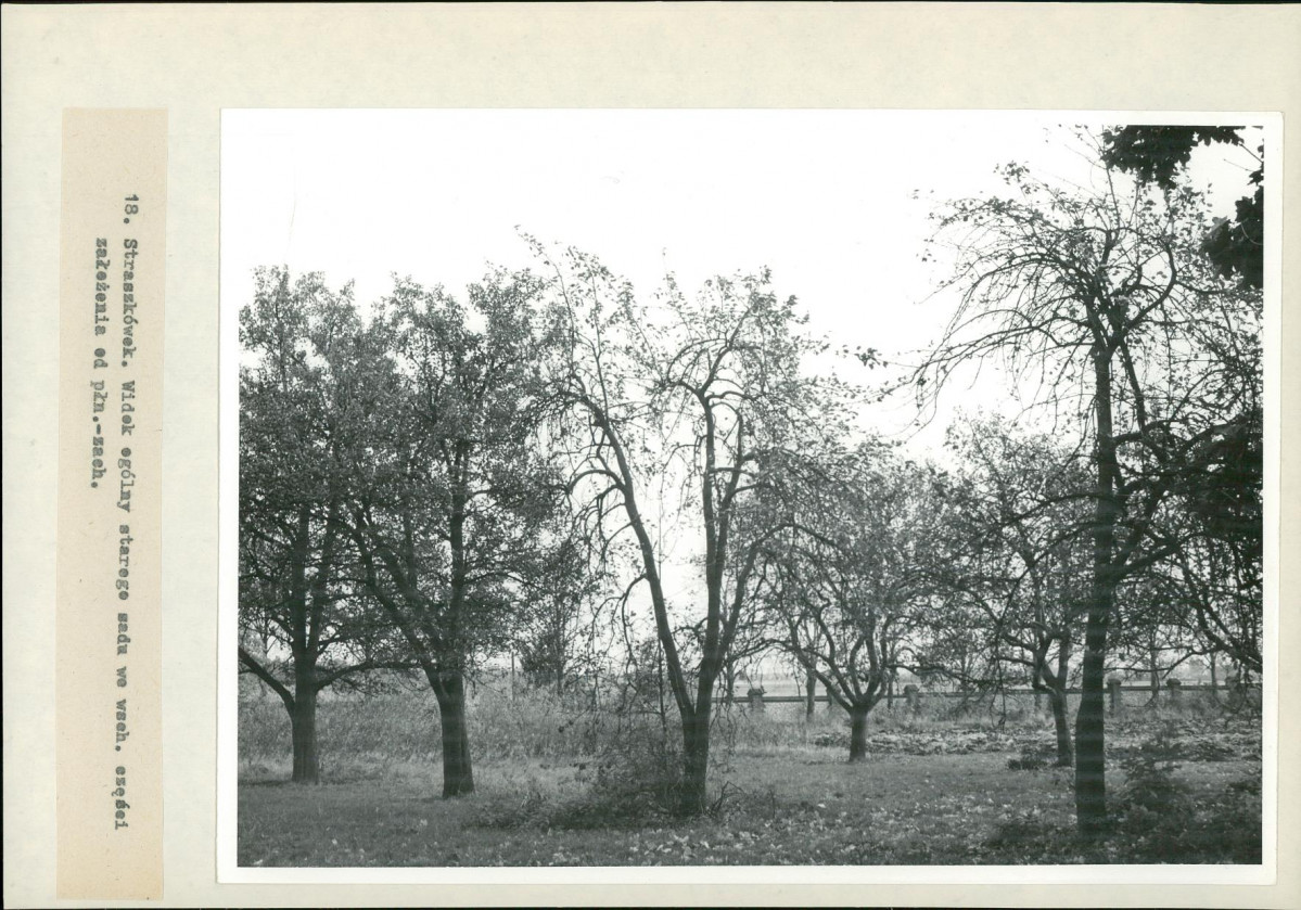 Ewidencja parkowa, skan nr 38