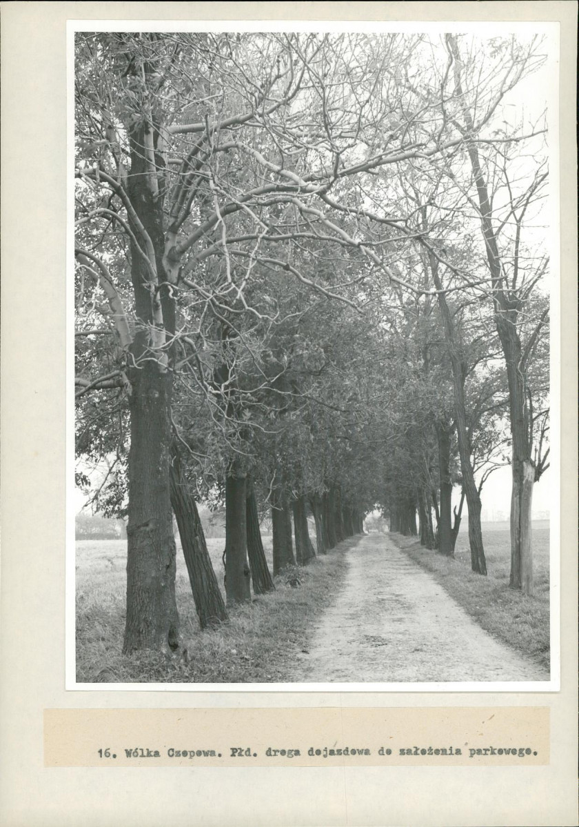 Ewidencja parkowa, skan nr 35
