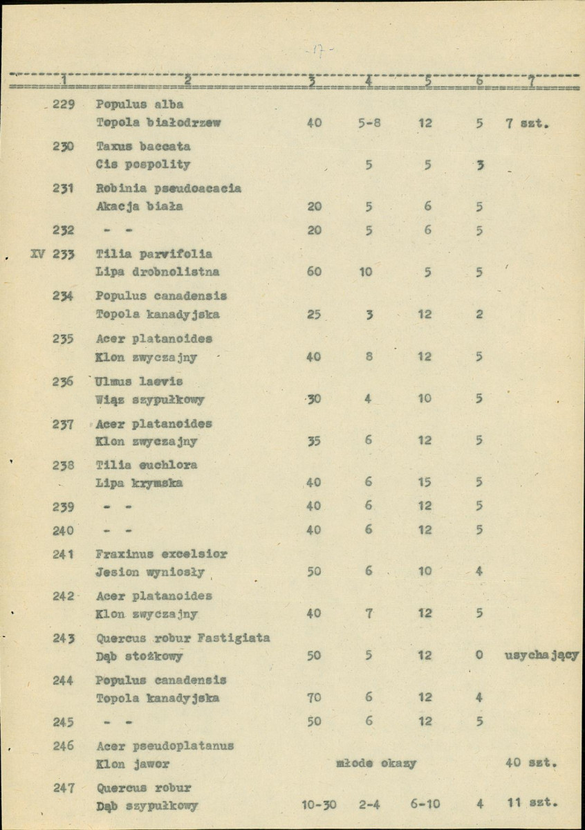 Ewidencja parkowa, skan nr 25