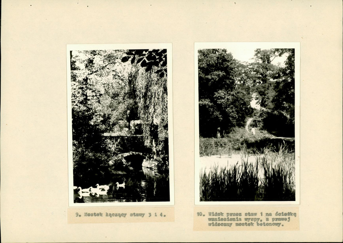 Ewidencja parkowa, skan nr 36
