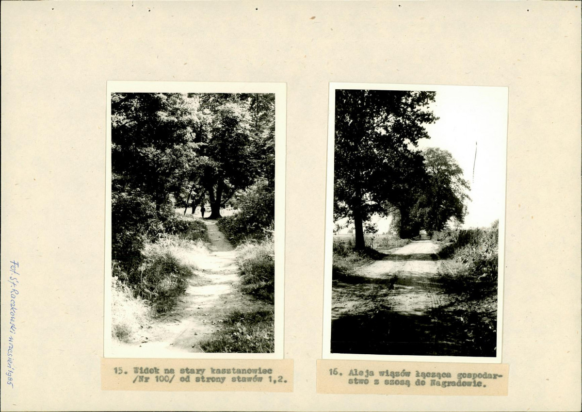 Ewidencja parkowa, skan nr 39