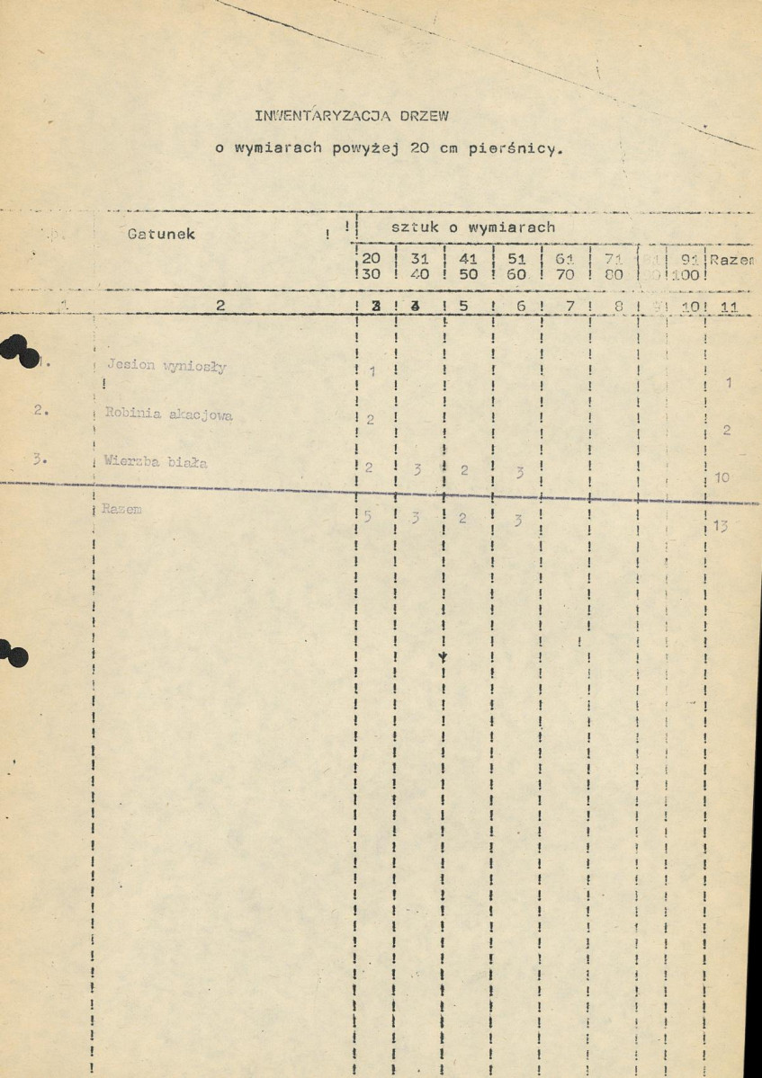 Ewidencja parkowa, skan nr 16