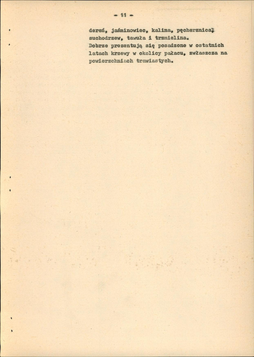 EP - Ewidencja parkowa, skan nr 17