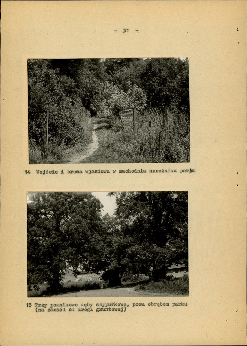 EP - Ewidencja parkowa, skan nr 37