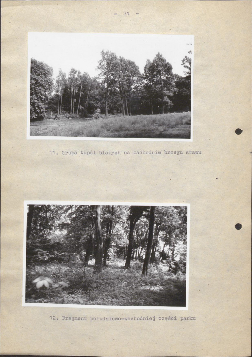 EP - Ewidencja parkowa, skan nr 30