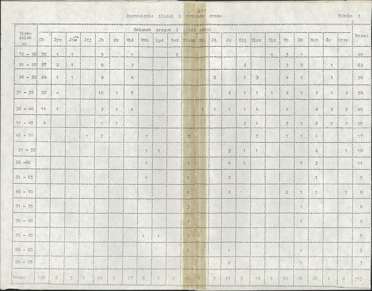 Ewidencja parkowa, skan nr 29