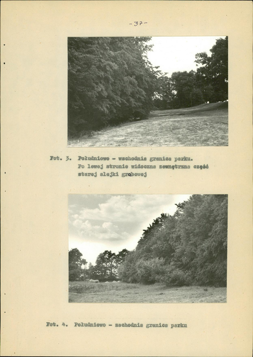 Ewidencja parkowa, skan nr 45