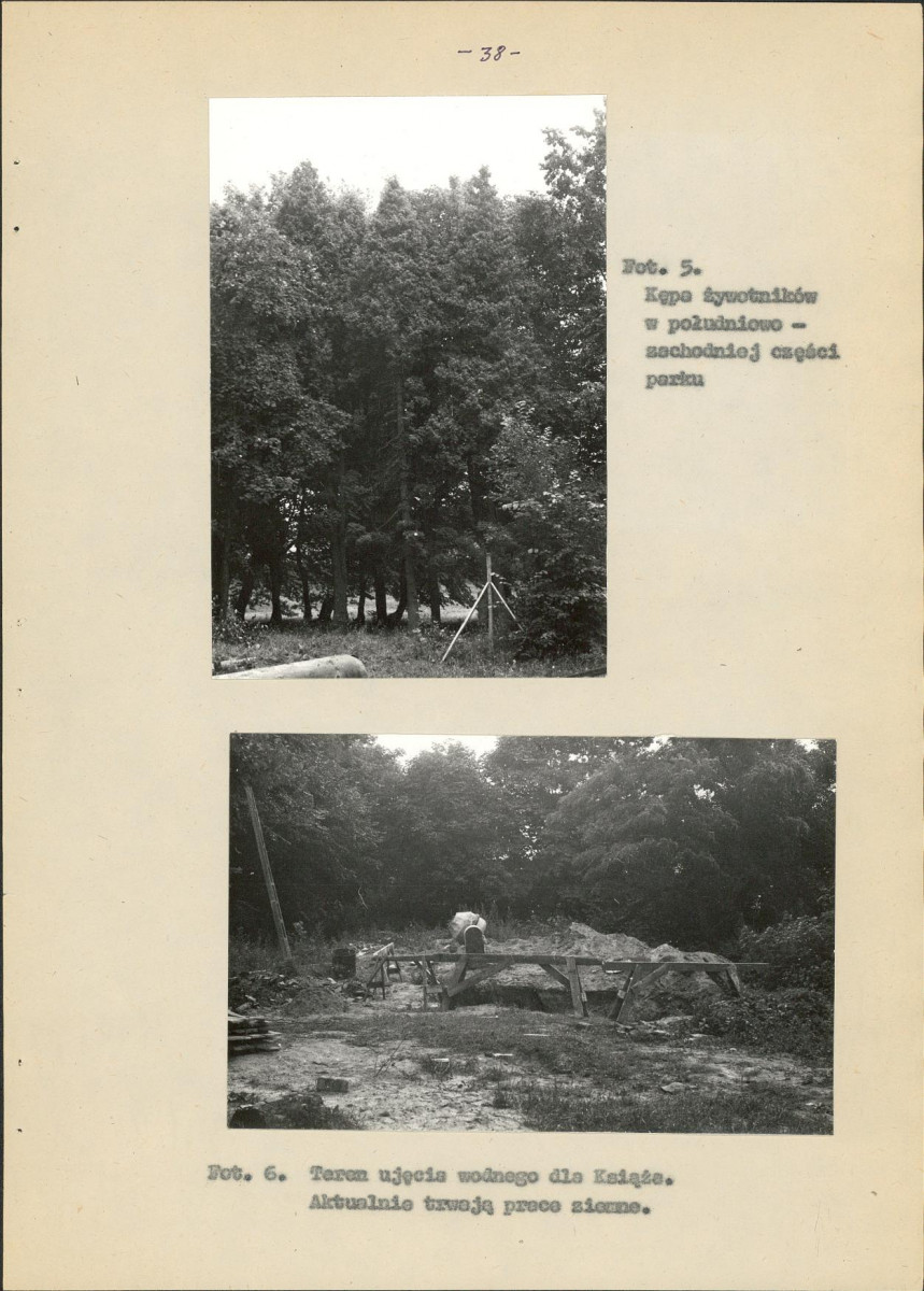 Ewidencja parkowa, skan nr 46