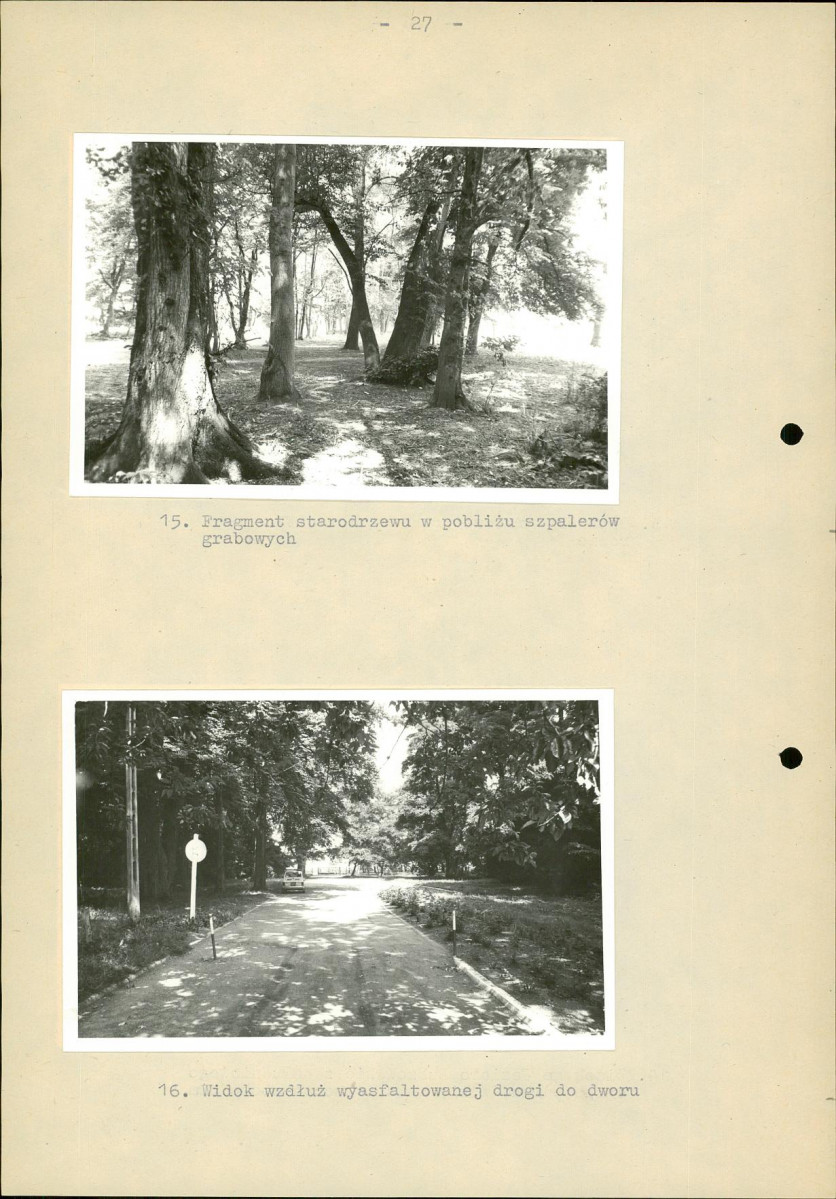 Ewidencja parkowa, skan nr 34