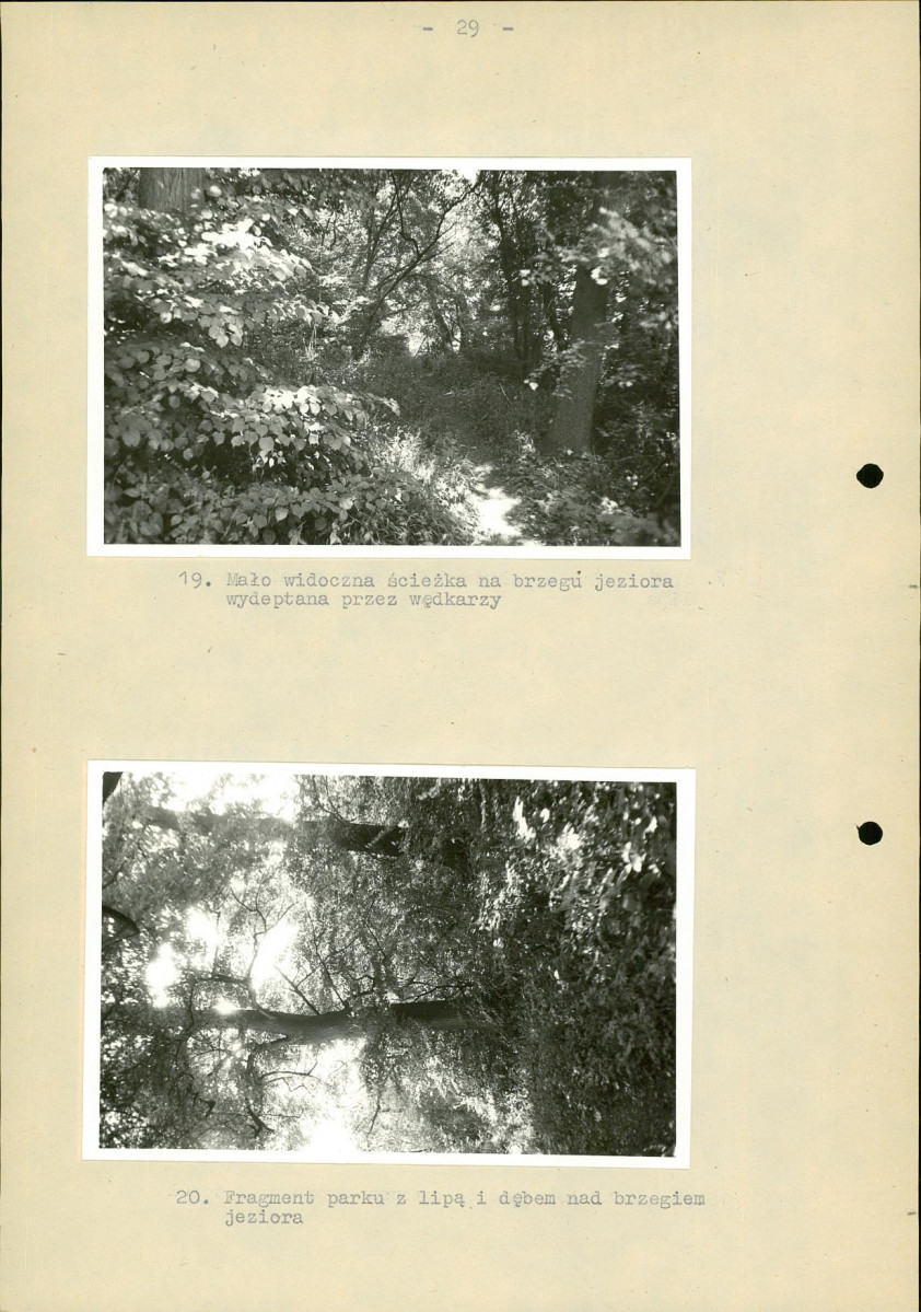 Ewidencja parkowa, skan nr 36