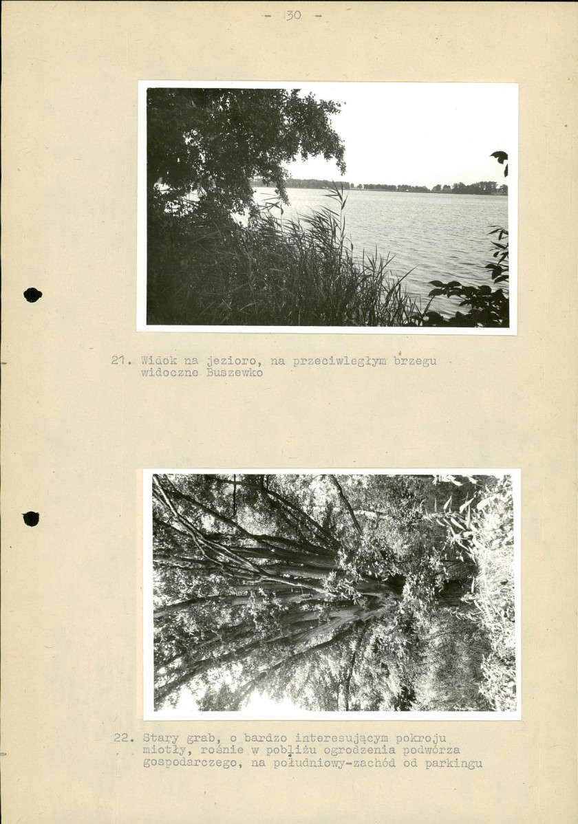 Ewidencja parkowa, skan nr 37